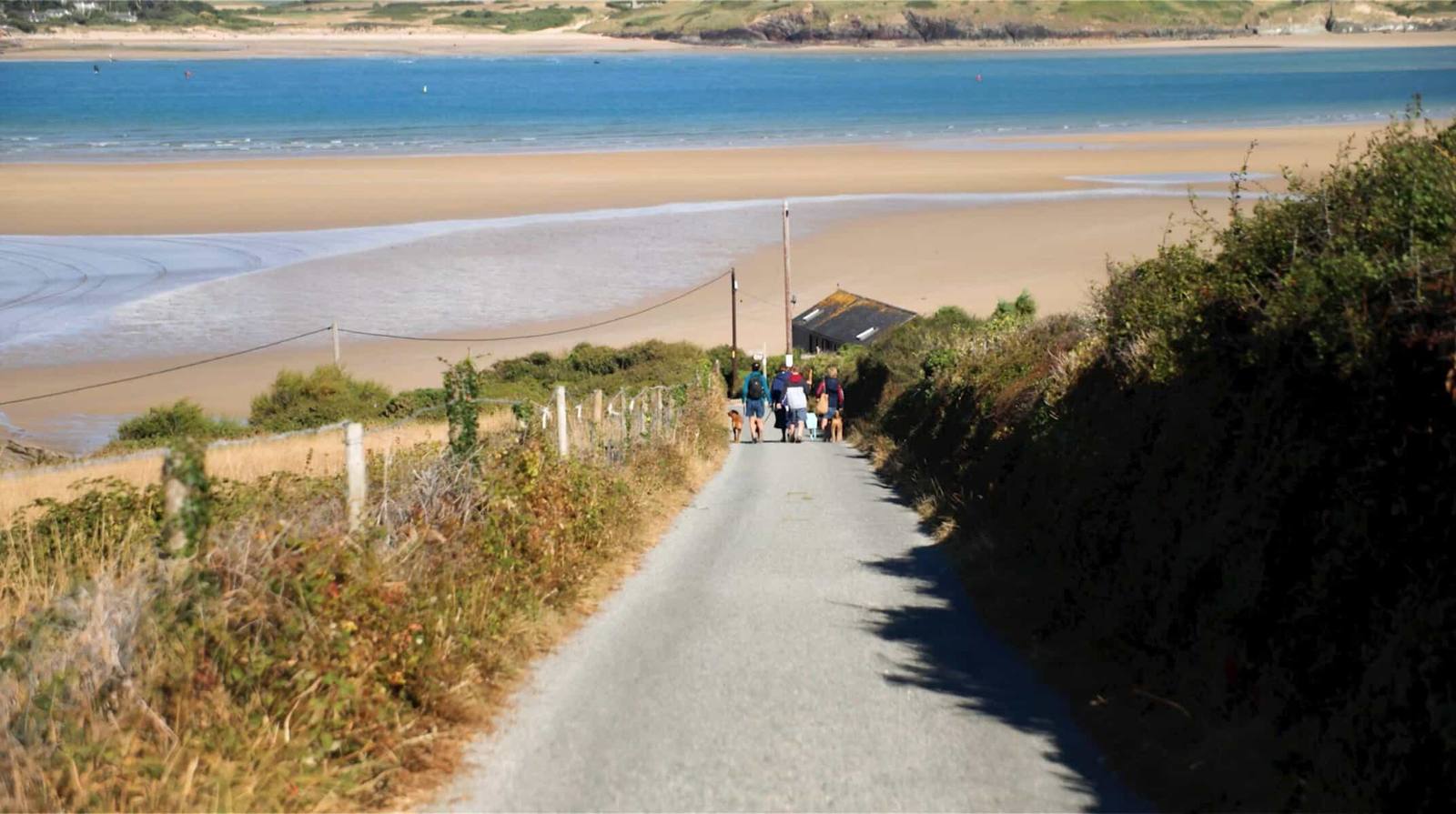 A lane leading down to a sandy beach in Cornwall