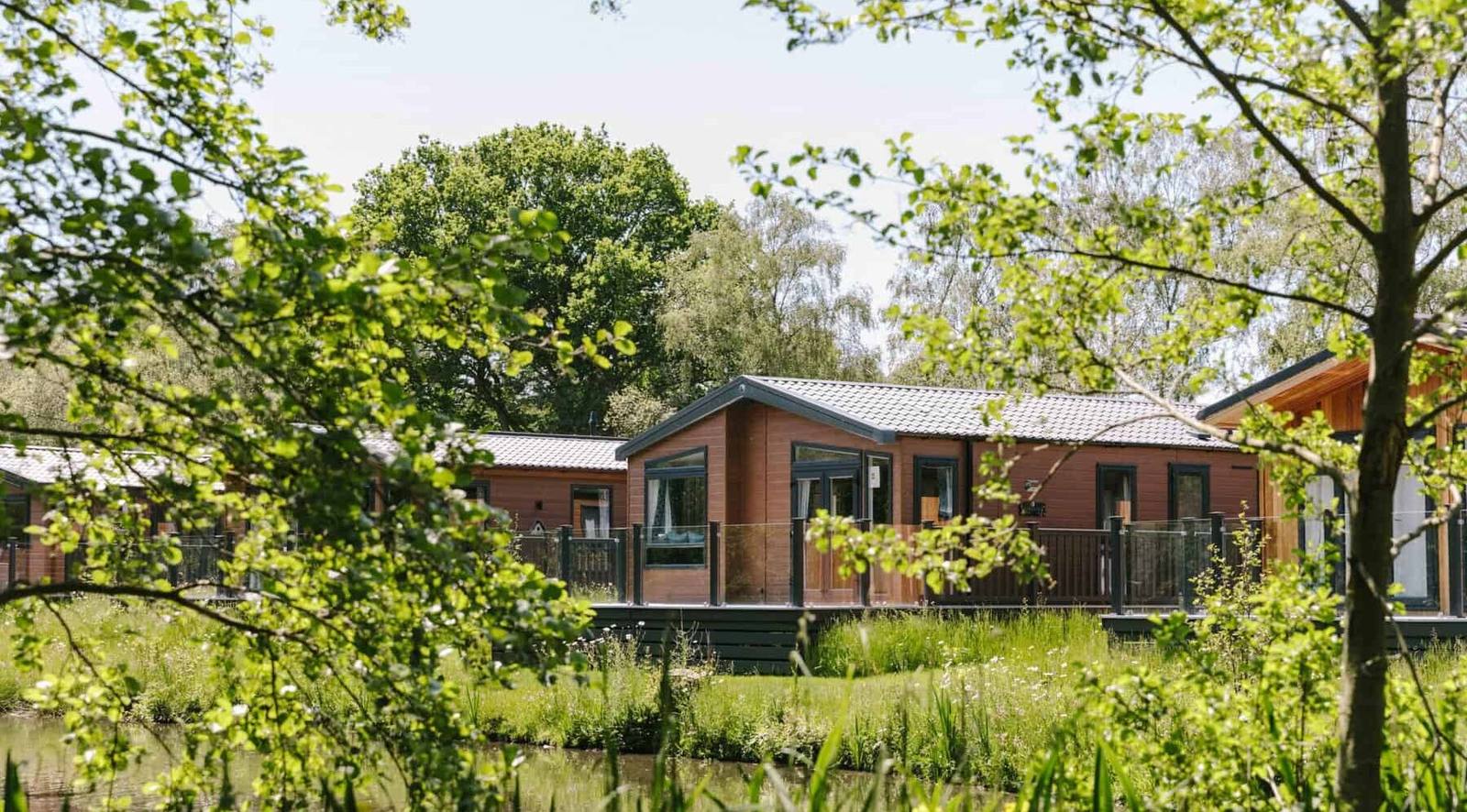 Lodges among the trees at Green Hill Farm Holiday Village in the New Forest