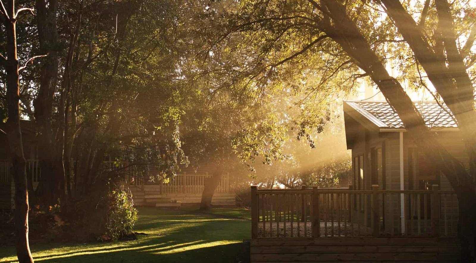 Holiday homes among the trees at Azure Seas Holiday Village in Suffolk